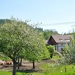 Kamenny Dum *
